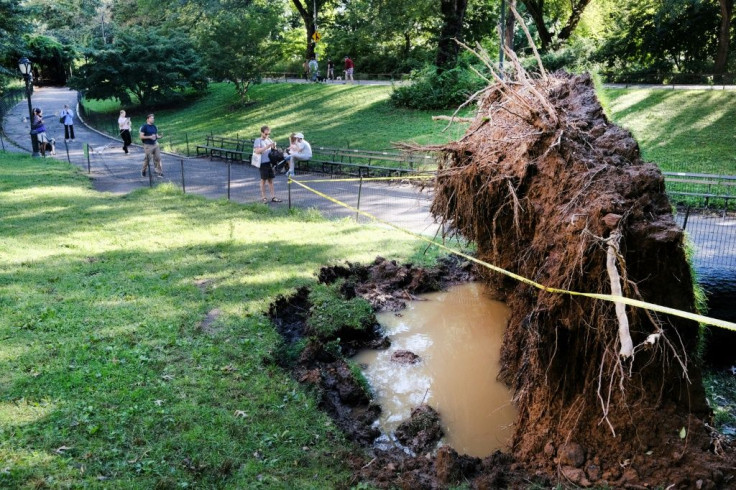 A fallen tree is blocked off in Central Park following a night of heavy wind and rain from the remnants of Hurricane Ida on September 02, 2021 in New York City