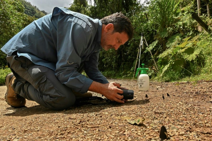 Juan Guillermo Jaramillo says he has taken photographs of 1,500 different species of butterflies, almost half the number of varieties there are in Colombia