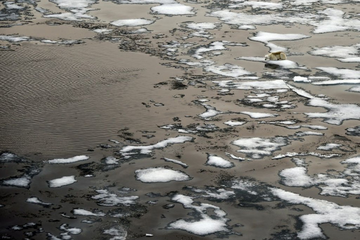 Russia hopes to boost traffic through the Northern Sea Route over the coming years