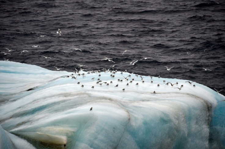 Environmental groups have slammed the race for hydrocarbons and the increased presence of nuclear reactors in the already fragile Arctic