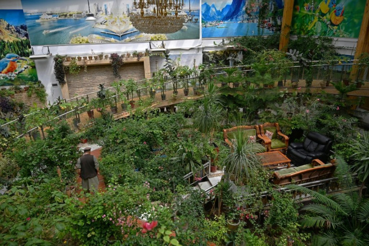 In one wing of the enormous house is a massive tropical greenhouse of several hundred square metres under a huge glass roof