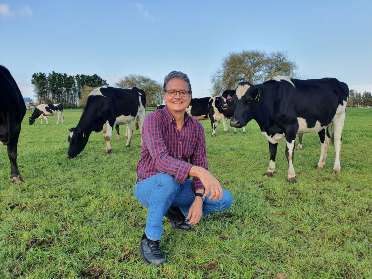 Lindsay Matthews is on a team of researchers that say capturing and treating cow urine could have long-term climate benefits