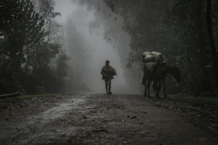 A boy walks in the fog near Chenna, which people have fled since the mass killings