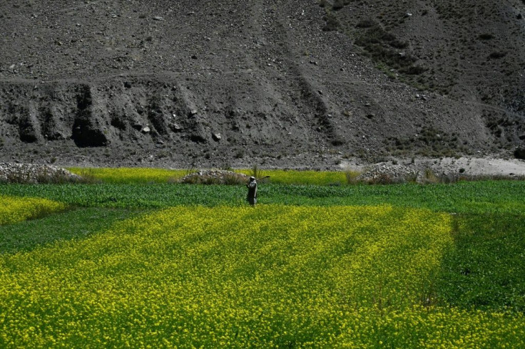 The Panjshir Valley is mostly deserted after the Taliban took control of the last province resisting their rule