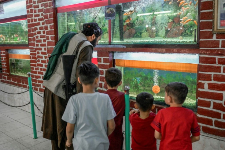 Heavily armed Taliban gunmen peered into the aquarium and reptile house
