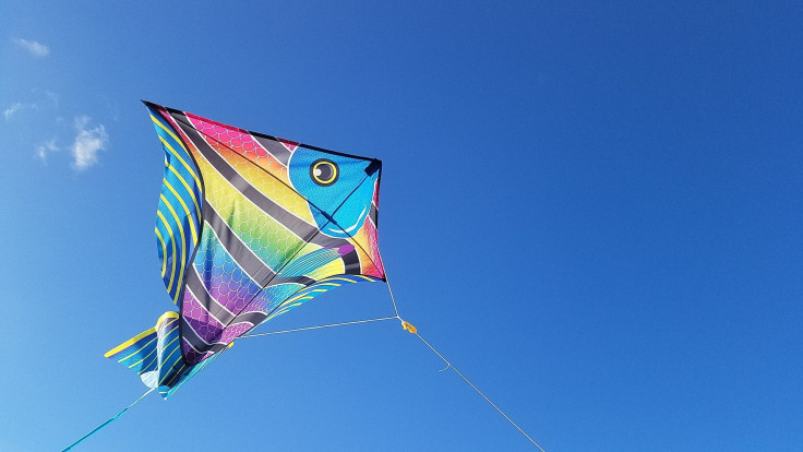 kite-2160948_1920
