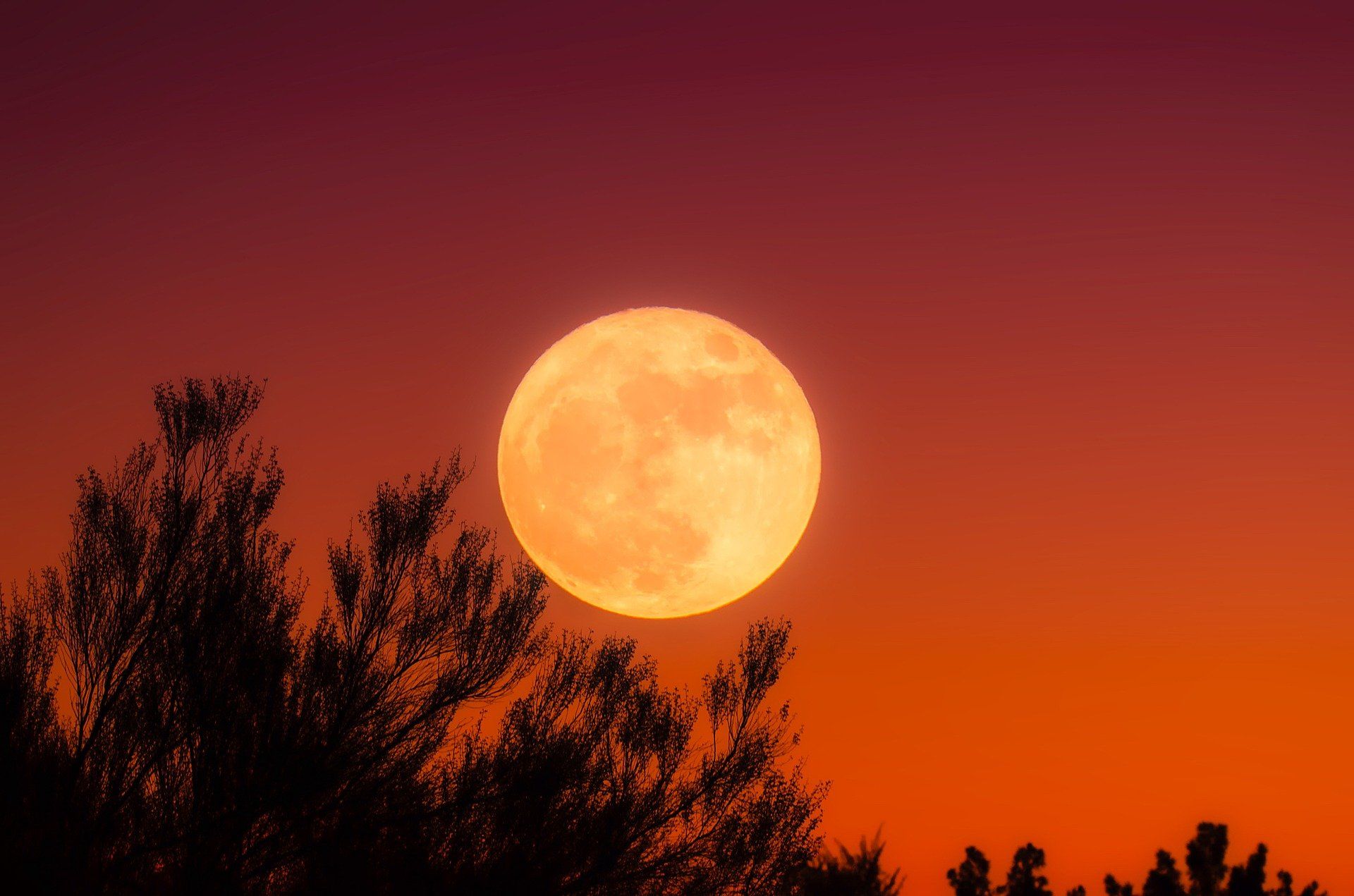 harvest-moon-2021-spiritual-meaning-what-will-the-mid-autumn-sky-bring