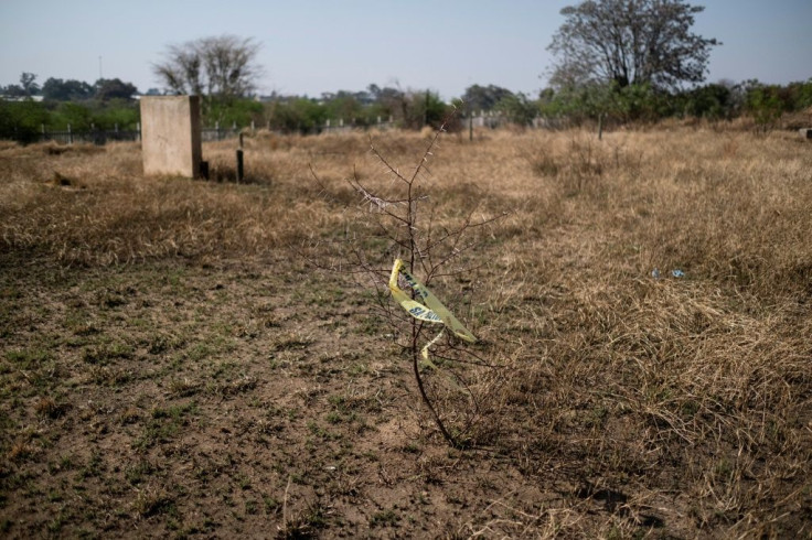 Fewer than two out of 10 murders are solved in South Africa