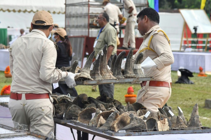 The animal parts had been kept in storage by the government since 1969