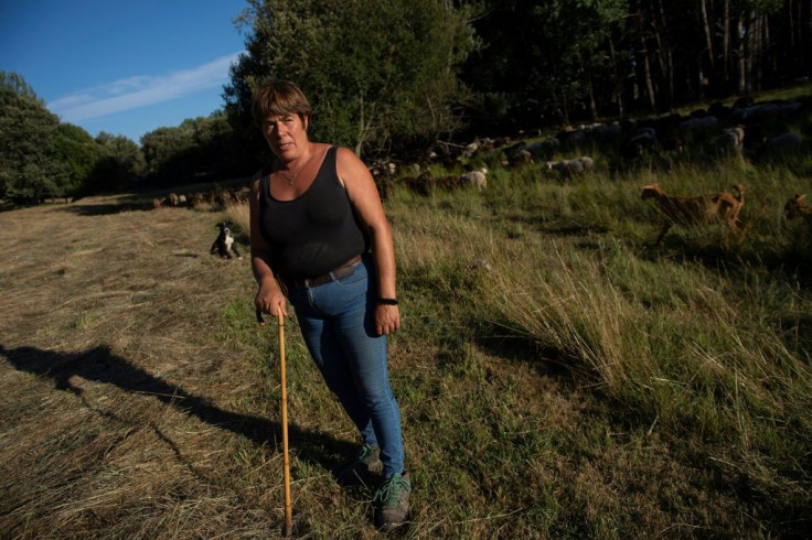 Livestock farmer Ana Vega remembers a time when locals took matters into their own hands if a wolf killed a sheep