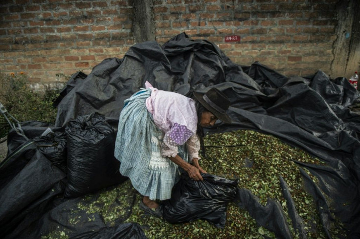 In 2019, before the global pandemic, one "arroba" (11.5 kilograms) of coca leaf sold for up to 200 soles, or about $60. It is now five to six times less