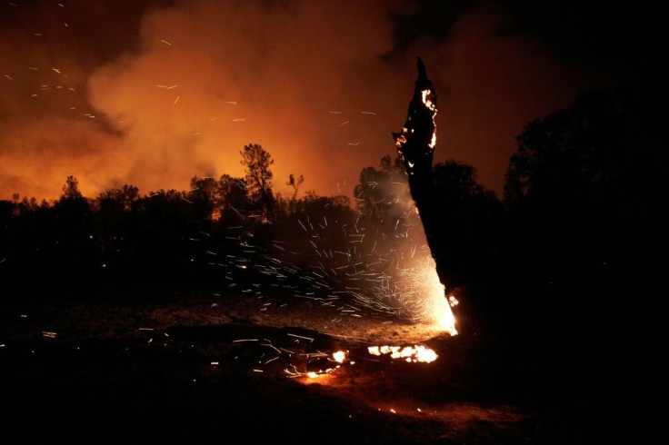 The Zogg Fire burned 56,000 acres and killed four people after it was sparked by a power line in September 2020