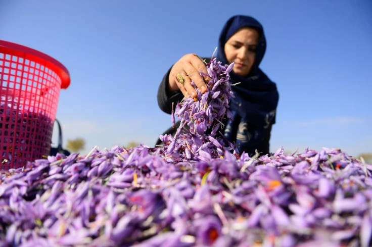 Shafiqeh Attai started her saffron company in the western city of Herat in 2007
