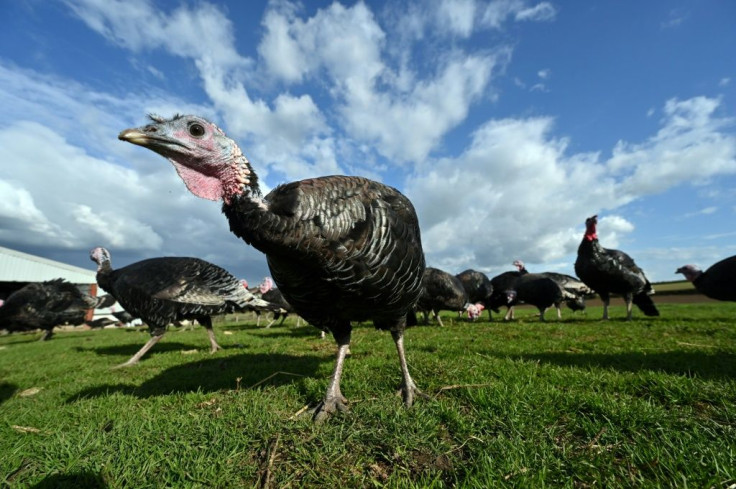 Foreign workers have previously been a mainstay of the poultry sector in Britain, particularly in the run up to Christmas