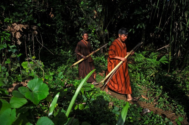 The Ashaninka were caught in the crossfire of the Peruvian civil war between 1986 and 1996