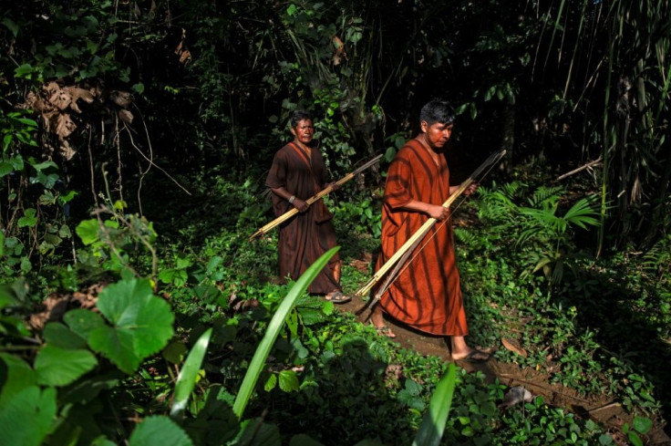 The Ashaninka were caught in the crossfire of the Peruvian civil war between 1986 and 1996