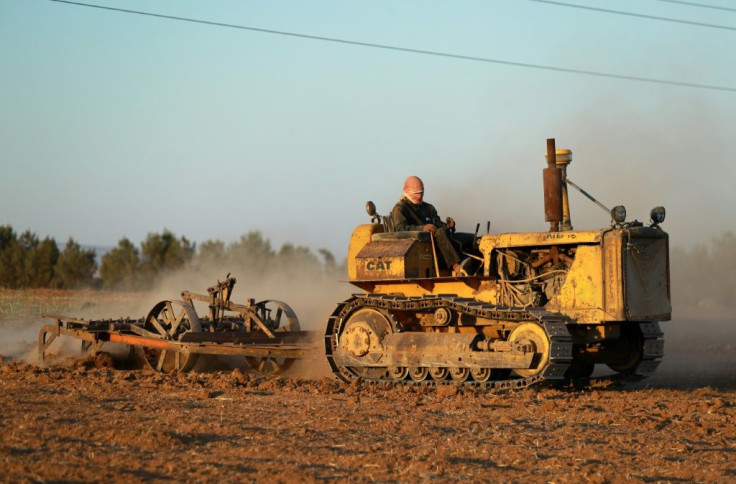 A farmer ploughs a wheat field in the northeastern Kurdish-held city of Qamishli, part of the Syria's breadbasket region of Hasakeh which has been hit hard by low rainfall