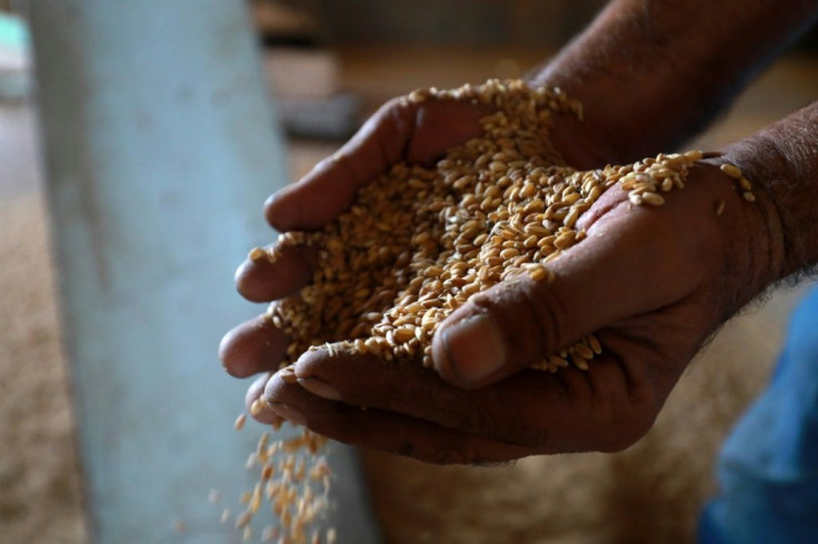 Aid agencies estimate that crop production has dropped by 95 percent in parts of Hasakeh region, compared to last year raising alarm about food security in war-torn Syria where 60 percent of people already struggle to buy food