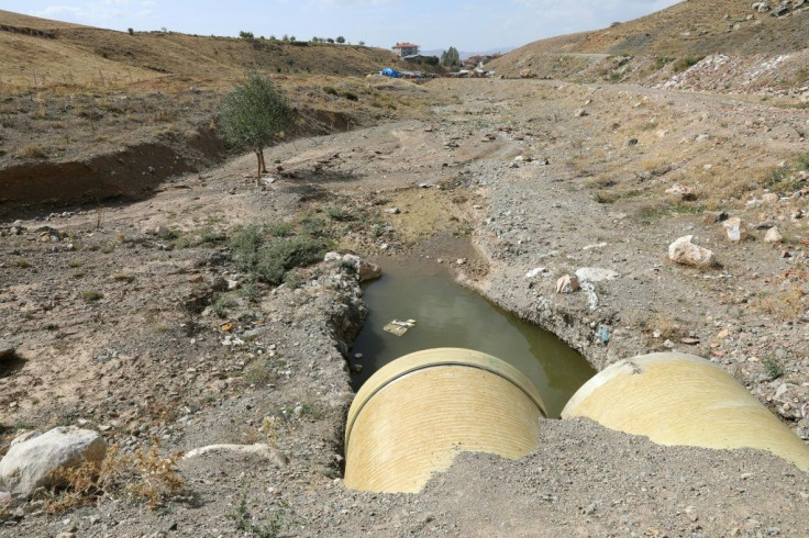 Experts accuse President Recep Tayyip Erdogan of failing to do enough to address pressing environmental issues in the country