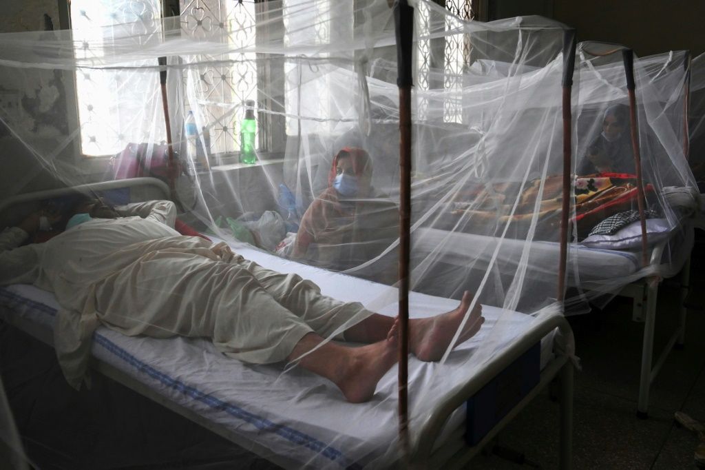 real-problem-as-covid-19-patients-also-get-infected-with-dengue-in