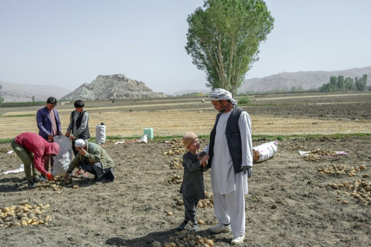 Hazaras make up as much as a fifth of Afghanistan's population