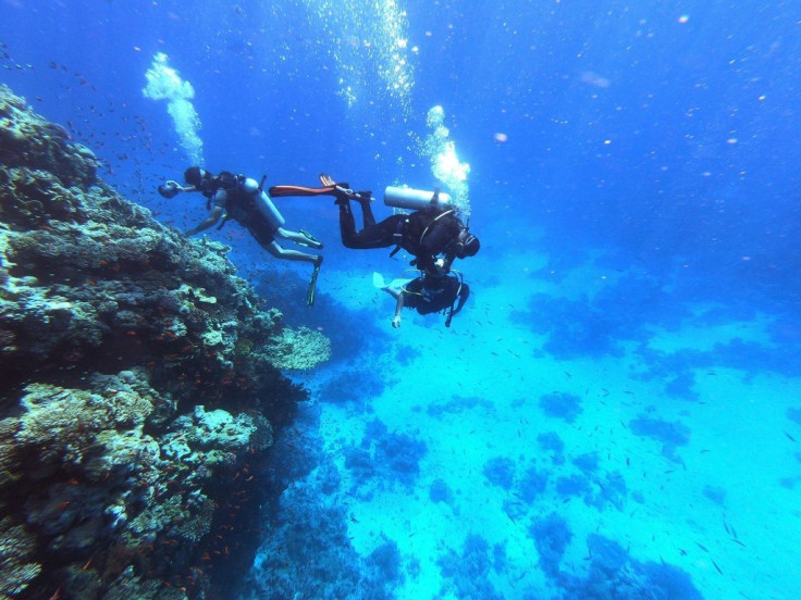 Coral reefs, dubbed the "rainforests of the oceans" for their rich biodiversity, are under threat everywhere as rising sea temperatures and acidification cause catastrophic "bleaching" events