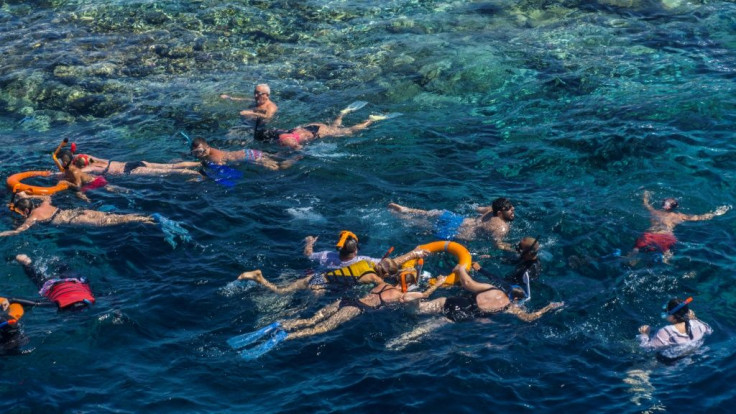 Sharm El-Sheikh hosted a United Nations agencies conference in 2018 that called for the protection of coral reefs 'before it's too late'