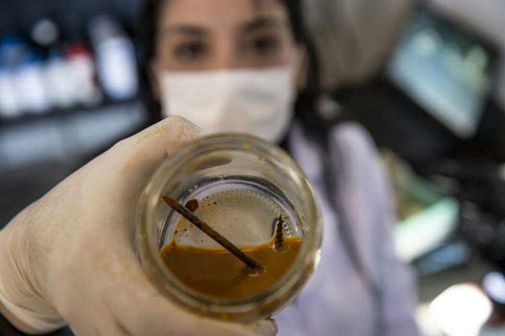 Chilean biotechnologist Nadac Reales shows a nail and screw inside a jar with metal-eater bacteria in her laboratory at a mining site in Antofagasta