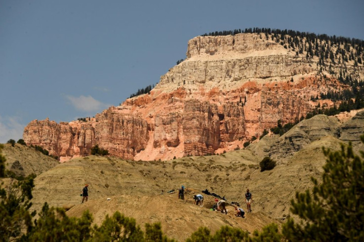 In this file photo taken in July 2021 researchers work to excavate dinosaur bones and fossils during an expedition at the Grand Staircase-Escalante National Monument in Utah