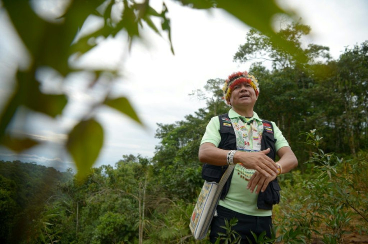 Gregorio Mirabal warns there are two outcomes for the Amazon: the "apocalypse, with no return" or saving 80 percent of the rainforest