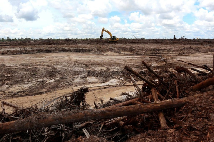 Globally deforestation has only escalated in recent years -- destruction of pristine rainforest was 12 percent higher in 2020 than the year before despite a global economic slowdown, according to Global Forest Watch