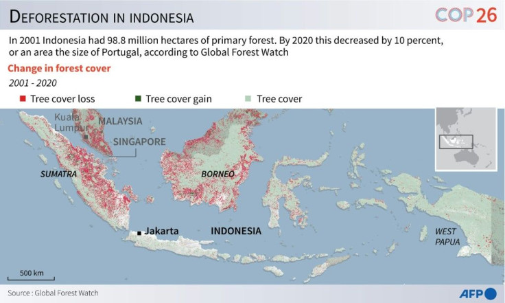 Graphic showing the extent of forest cover loss in Indonesia 2001 - 2020, according to data from Global Forest Watch