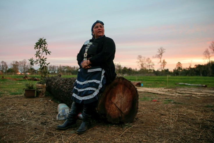 Mapuche 'machi', or spiritual guide, Jessica Huentemil says a new constitution will give her community strength