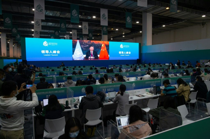 Xi Jinping speaks at the summit in the Chinese city of Kunming