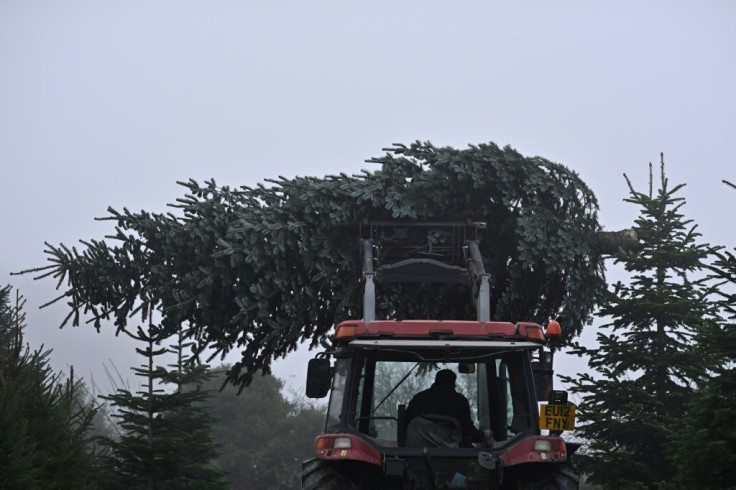 Prices could rise for Christmas trees because of higher costs of imports and raw materials
