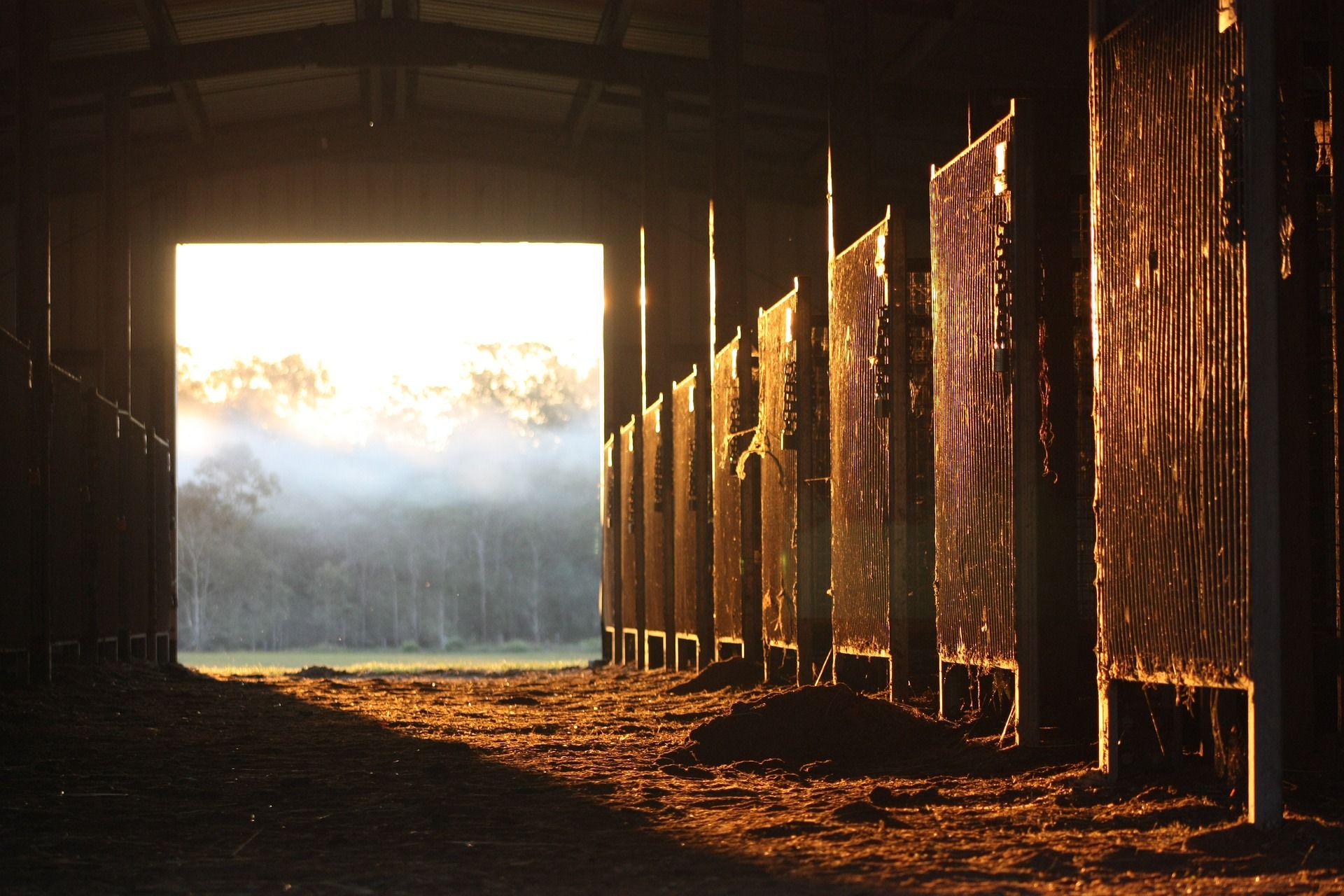 barn-worker-caught-on-video-having-sex-with-horse-police-detail