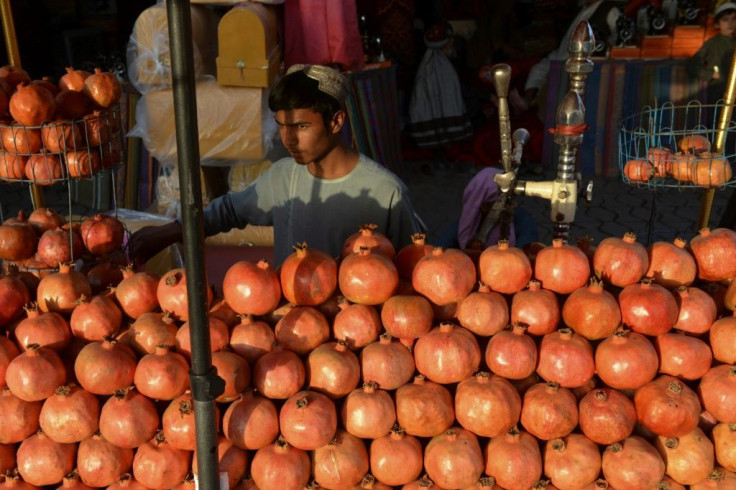 Pomegranate is one of the most important crops in southern Afghanistan