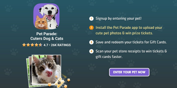 Pet Parade pet contest