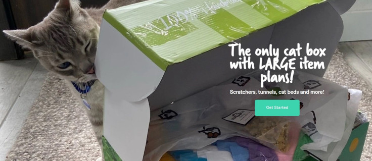 BoxCat subscription box