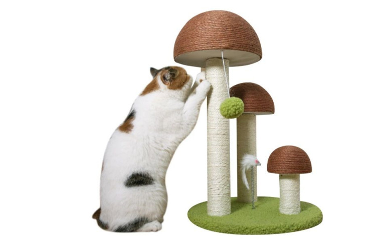 Pet n Purr Mushroom Scratching Post
