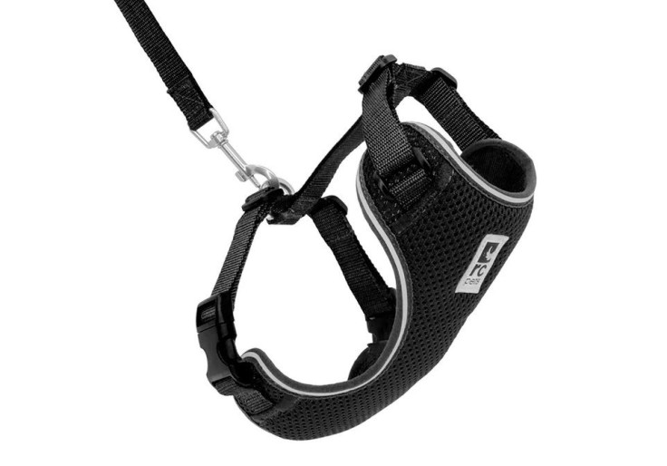 Adventure Kitty Harness & Leash