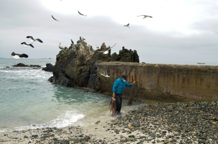 A fisherman is seen in Punta de Choros, La Higuera, Chile, on October 5, 2021; local fishermen fear a big mining project will foul local waters and harm their livelihood