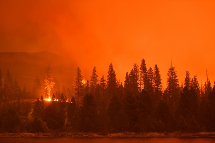 Planting trees to soak up CO2 is fine -- until the forests burn down in climate-fuelled wildfires