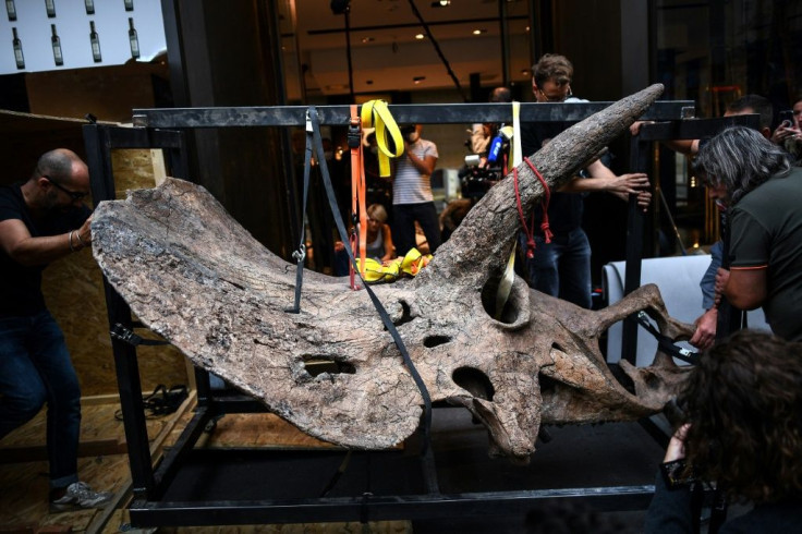 The Drouot auction house has sold several dinosaur skeletons over the past few years