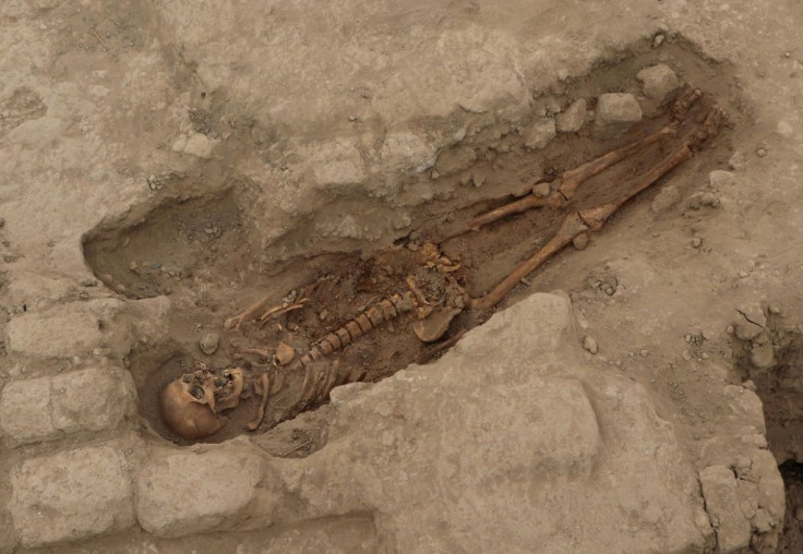 Undated handout picture released by the Royal Tombs of Sipan Museum of one of the 29 human remains discovered at an ancient ceremonial site in Lambayeque