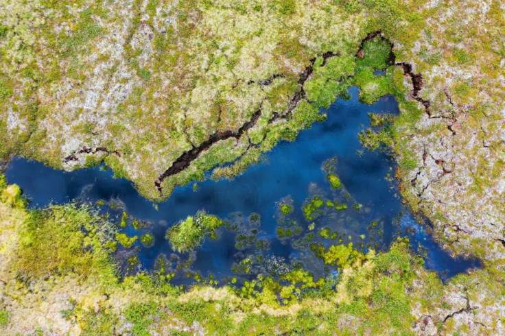 Vicious circle: as the permafrost thaws, bacteria in the soil begin to decompose the biomass stored within and the process releases greenhouse gases