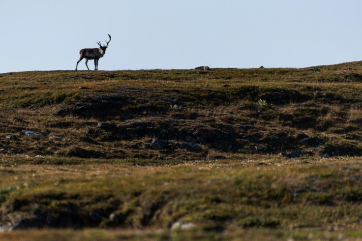 Signs of thawing permafrost, such as tears in the ground and slumping soil, have appeared around the small northern Swedish town of Abisko