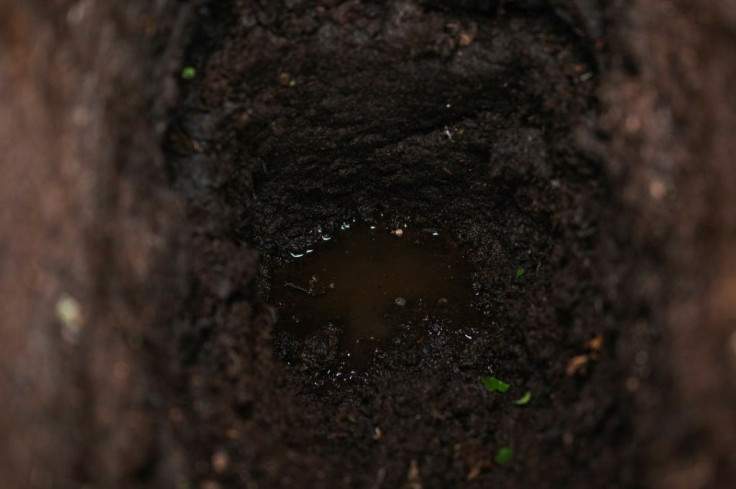 The big issue with permafrost is that the thawing and accompanying carbon release will continue even if human emissions are cut