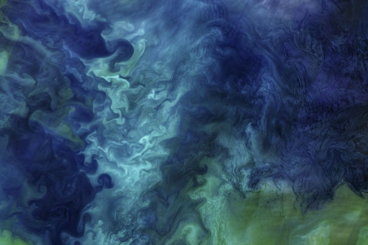 When they 'bloom' in vast numbers, plankton are visible from space, turning the water emerald or creating swirls of milky blue