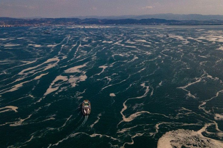 The runoff of nitrogen-rich fertilisers is blamed for creating harmful algae blooms, like the glutinous 'sea snot' off Turkey's coast this yearÂ